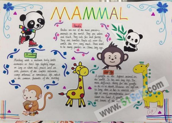 animalworld动物世界英语手抄报