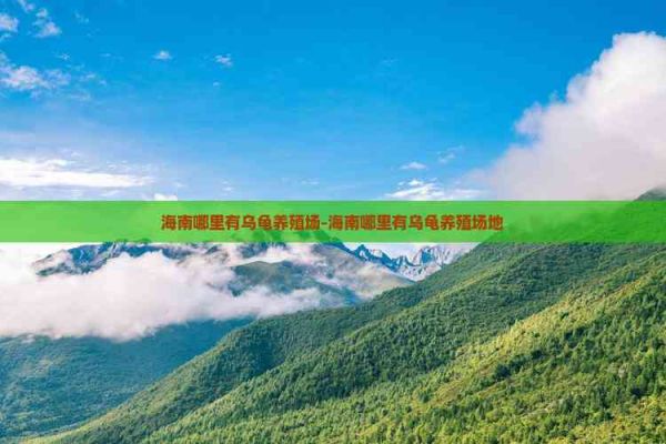海南哪里有乌龟养殖场-海南哪里有乌龟养殖场地