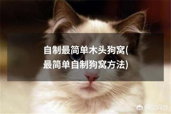 自制最简单木头狗窝(最简单自制狗窝方法)