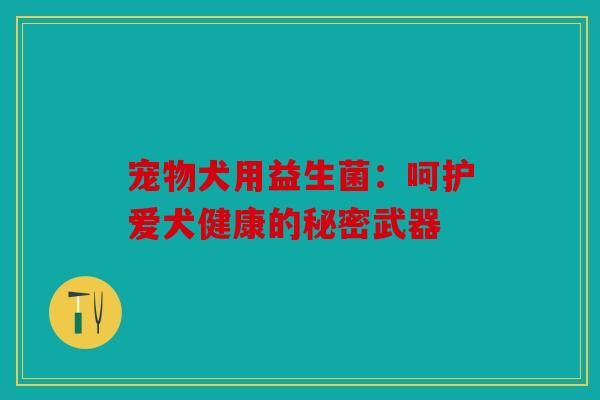 宠物犬用益生菌:呵护爱犬健康的秘密武器
