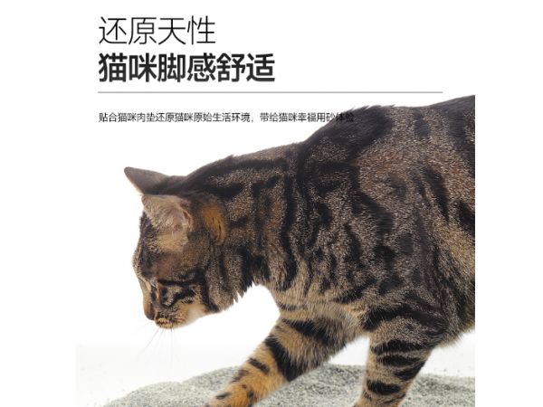 武汉膨润土猫砂厂家,猫砂