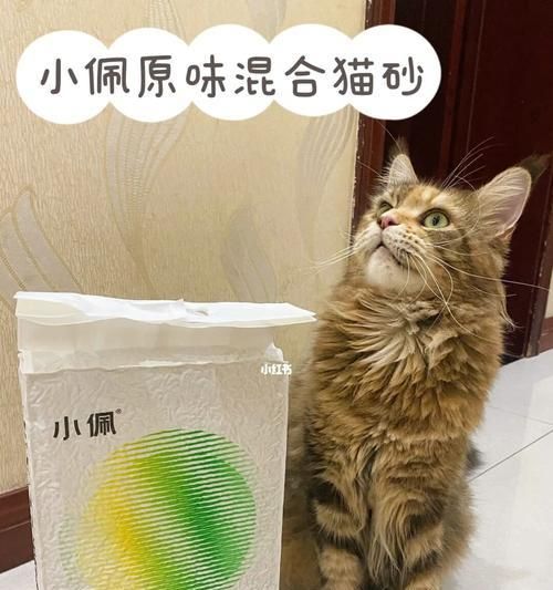 揭秘猫的砂耗量，你用对了吗（猫咪每天需要多少猫砂）