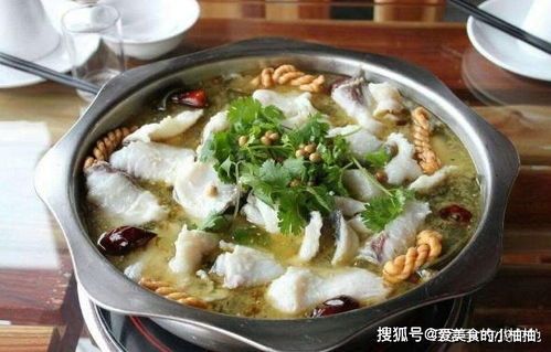自制鱼食秘籍，宠物鱼儿爱不释口！