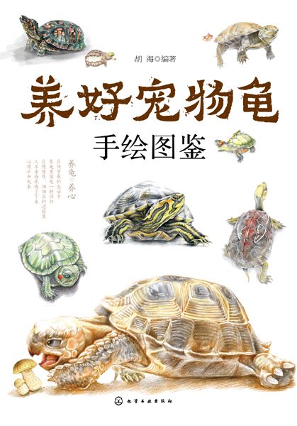 养好宠物龟手绘图鉴