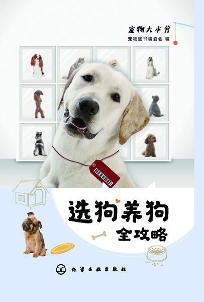 选狗养狗全攻略