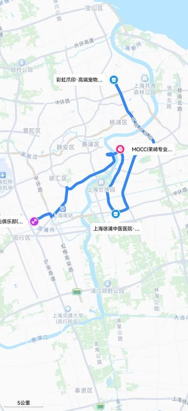上海周末休闲时光