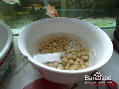 自制观赏鱼饲料方法：如何自制观赏鱼饲料 观赏鱼百科 第6张