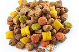 国产品牌崛起？畅谈宠物食品的细分赛道、竞争格局和技术创新