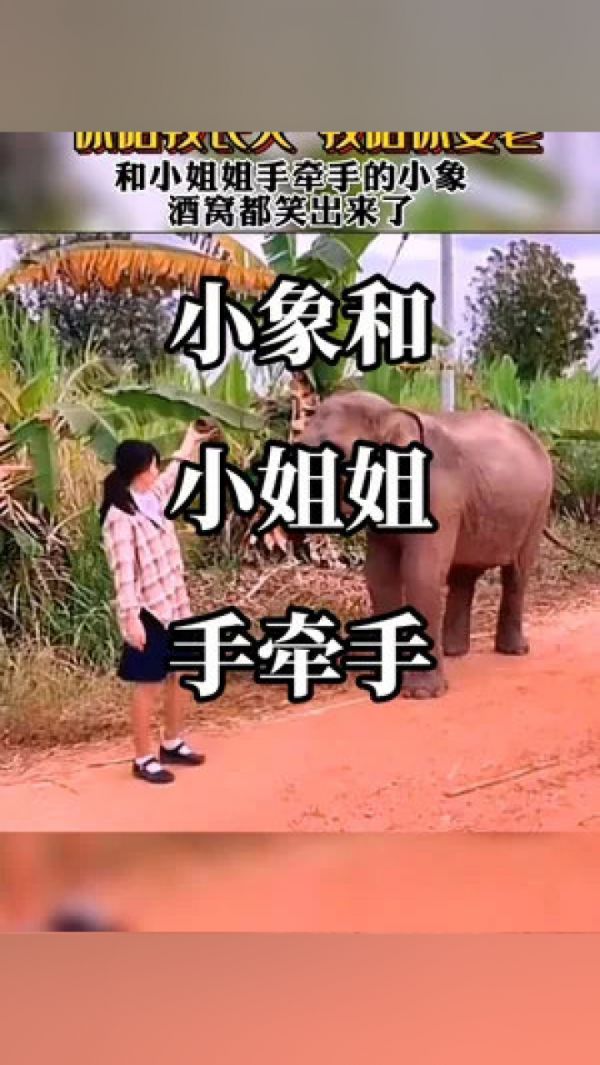 久久萌宠基地乐园，打造人与动物和谐共处的天堂