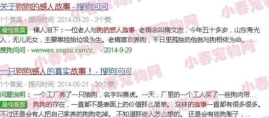 狗狗的感人故事