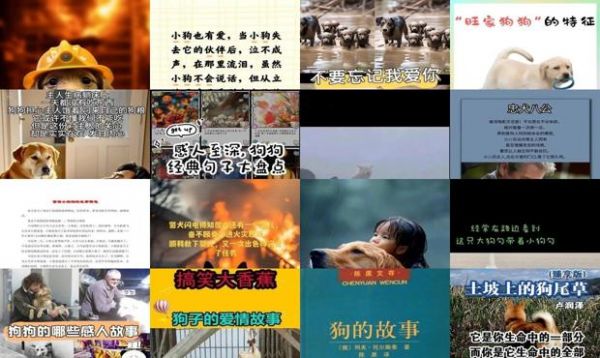狗狗的感人故事