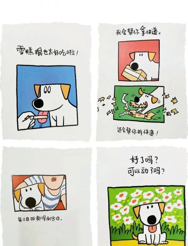 宠物狗知识分享故事绘本（狗狗故事）