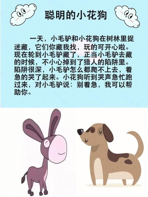 宠物狗知识分享故事绘本（狗狗故事）