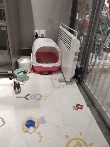 一条龙服务