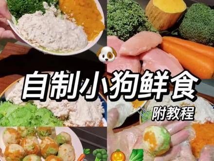 自制小狗鲜食——宠物元气弹,偶尔给狗狗补充额外营养
