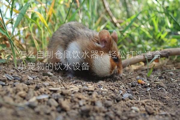 怎么自制仓鼠饮水器？轻松打造适合小宠物的饮水设备