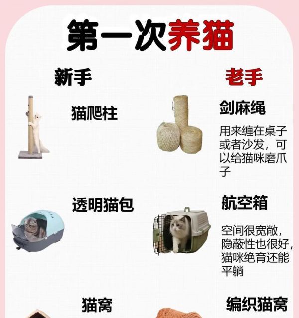 龙猫饲养指南（方法、注意点与）