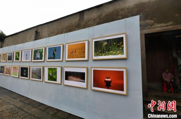 图为在长乐三溪村老街上展出的摄影作品。　张斌 摄