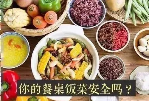 “宠物腹水，营养食谱大揭秘！”