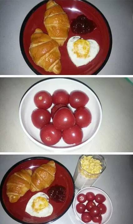 “宠物受伤，营养食谱大公开！”
