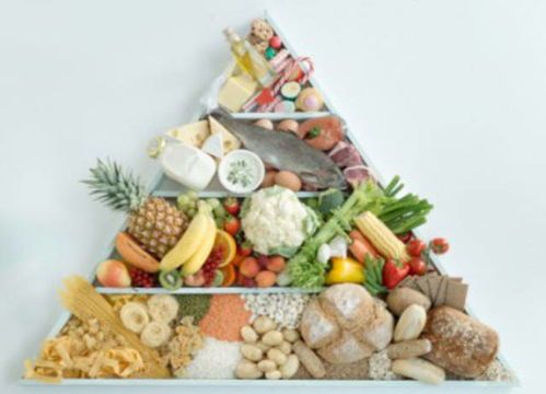 “宠物营养秘籍:选对食物,健康加分”