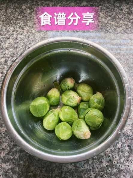给凯雷喂食，宠物营养食谱推荐？适合什么食物？-第1张图片-5440游戏网