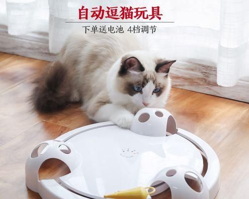 猫咪的玩具是什么（揭秘猫咪的玩具种类及使用技巧）
