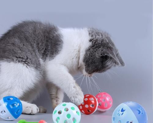猫咪的玩具是什么（揭秘猫咪的玩具种类及使用技巧）