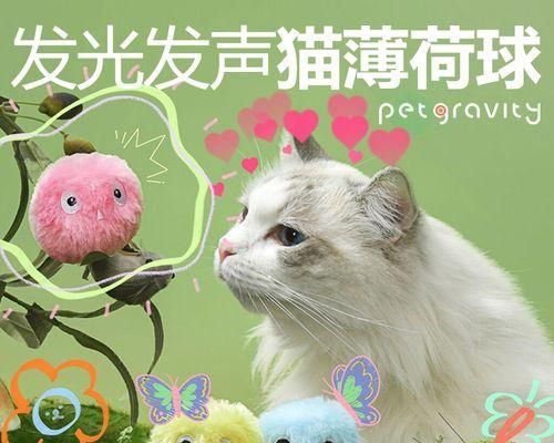 猫咪的玩具是什么（揭秘猫咪的玩具种类及使用技巧）