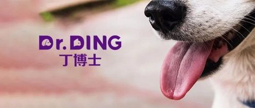 宠物狗细小病治疗,猫咪眼病鉴,养宠必备攻略!
