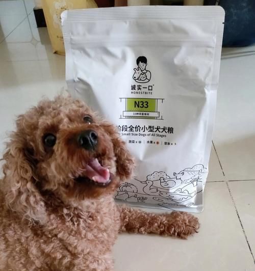 宠物狗营养过剩致病（预防胜于治疗，如何正确喂养宠物狗）