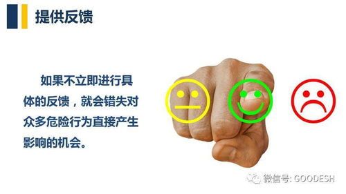 宠物单侧耳聋,观察行为差异
