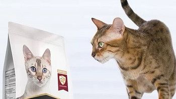 不让猫咪得毛球症，冠能来帮你