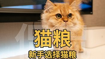 猫粮年度推荐， 新手选择猫粮怎么选？硬核干货，建议收藏