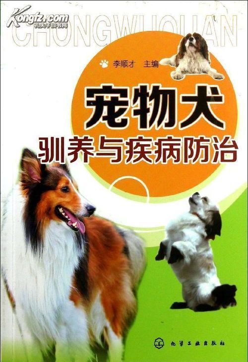 宠物狗常见病治疗攻略