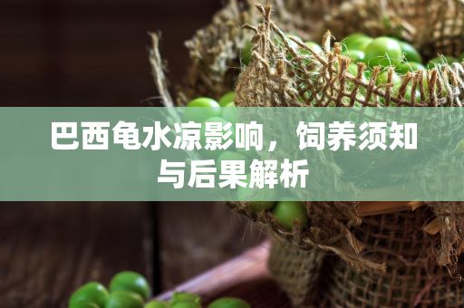 巴西龟水凉影响，饲养须知与后果解析