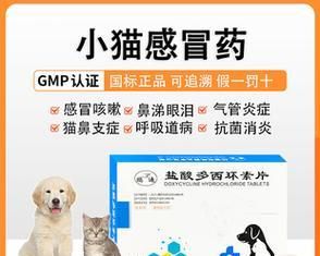 狗狗消化不良怎么办？哪些药物可以帮助狗狗消化？
