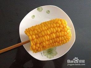 宠物增肥食谱推荐