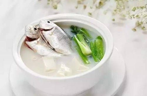 宠物猫鱼食谱,简单易学,营养满分!