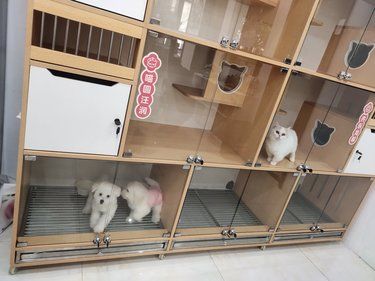 闺蜜介绍的一家店