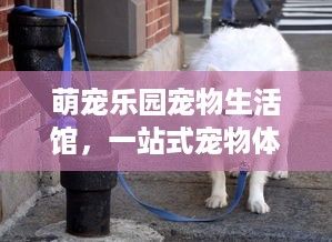 萌宠乐园宠物生活馆，一站式宠物体验的天堂