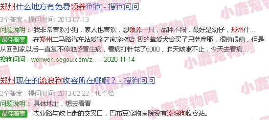 郑州流浪狗领养中心