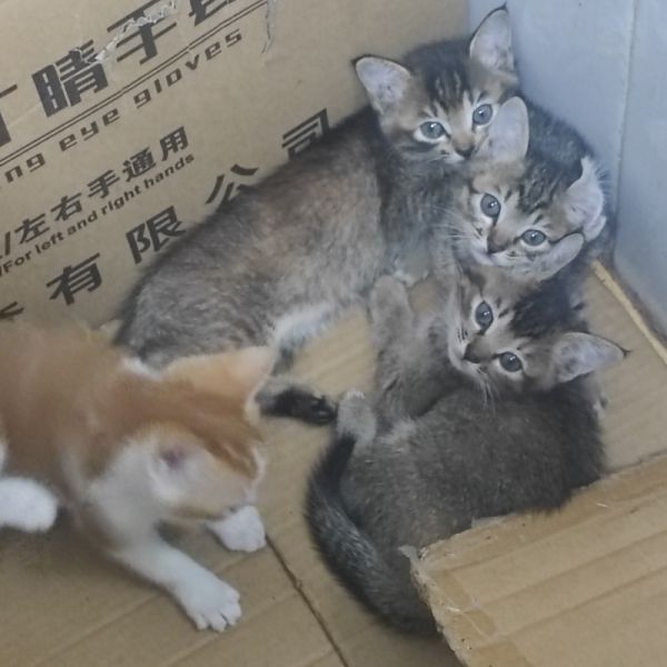 店主头像