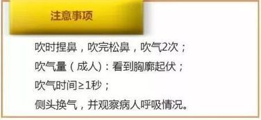 宠物肺炎急救指南:如何应对鸟儿的呼吸危机?