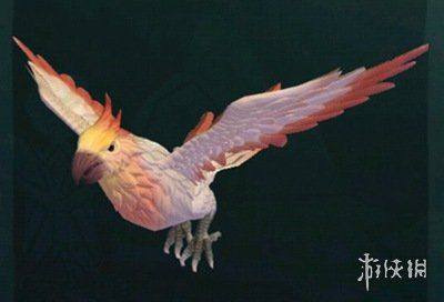 《创造与魔法》小鸟位置 小鸟位置图介绍