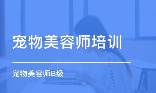 宠物美容师薪资揭秘，宠物寿命排行，猫病预防攻略！