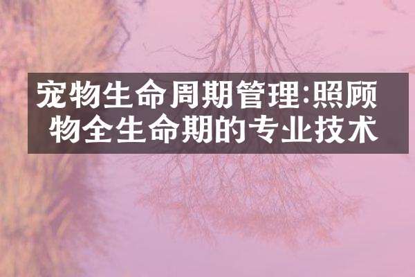 宠物生命周期管理:照顾宠物全生命期的专业技术