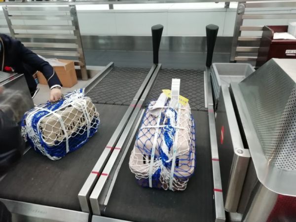 北京快捷的宠物狗运输公司
