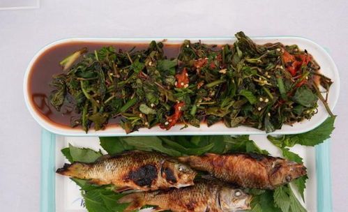 小蜥蜴美食指南，揭秘宠食秘籍！