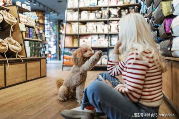 为何高端宠物食品成为年轻宠物主的新宠?